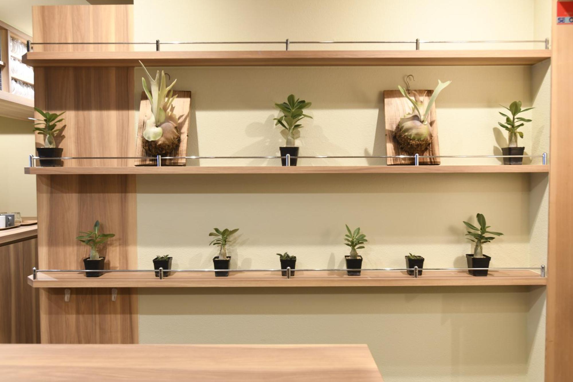 A16 Hostel Tōkyō Extérieur photo